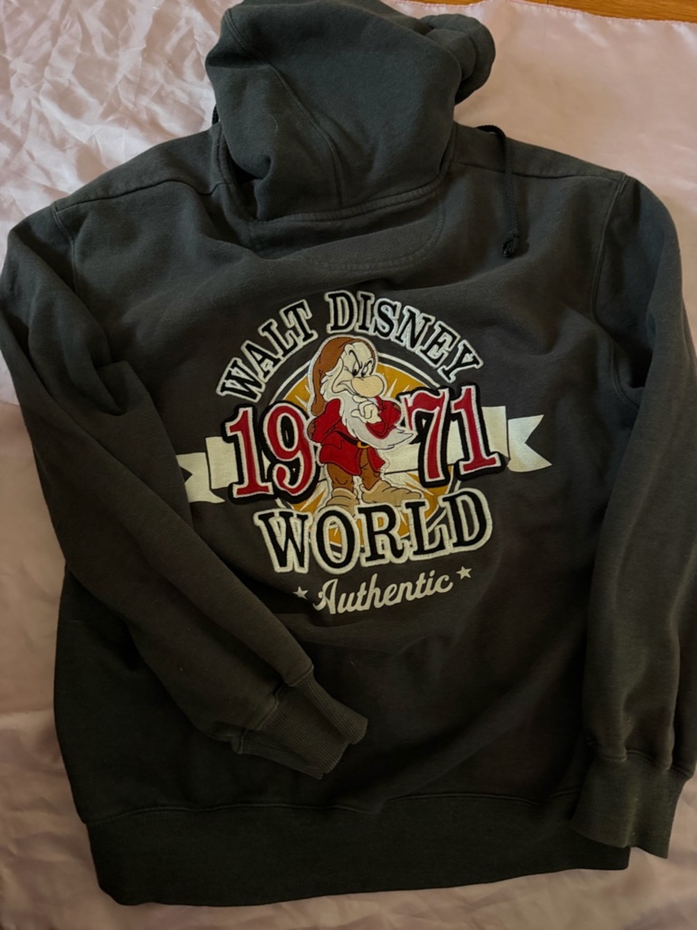 Disney Walt Disney World 1971 Gray Hoodie with Red and Cream Graphic